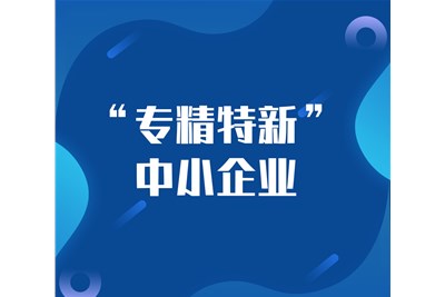 祝贺朗洁2023年获得《广东省专精特新中小企业》